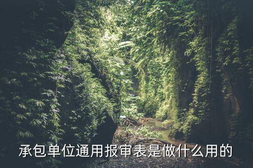 通用申報是什么意思，申報是什么意思