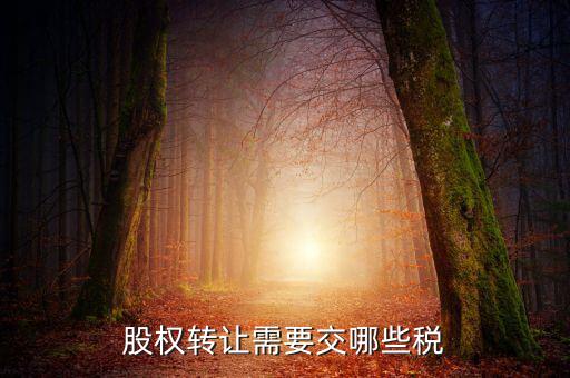 股權(quán)轉(zhuǎn)讓需要繳納什么稅，股權(quán)轉(zhuǎn)讓要交什么稅
