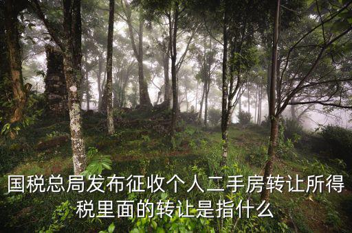 稅收轉(zhuǎn)讓是什么，國稅總局發(fā)布征收個(gè)人二手房轉(zhuǎn)讓所得稅里面的轉(zhuǎn)讓是指什么