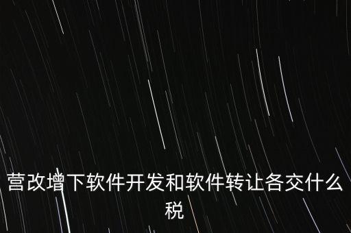 營改增下軟件開發(fā)和軟件轉讓各交什么稅
