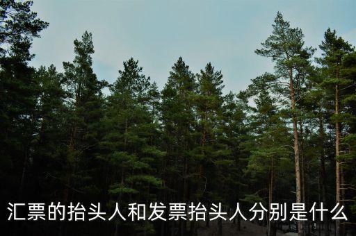 發(fā)票司稱人什么意思，匯票的抬頭人和發(fā)票抬頭人分別是什么