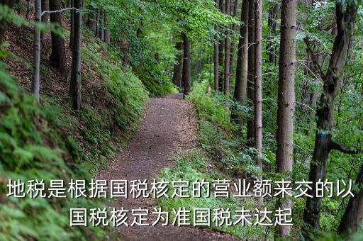 地稅定稅是根據(jù)什么定的，問題國稅和地稅的定稅依據(jù)是什么