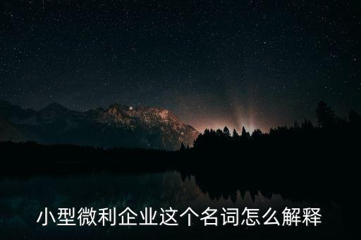 微利成公司是什么意思，小型微利企業(yè)這個(gè)名詞怎么解釋