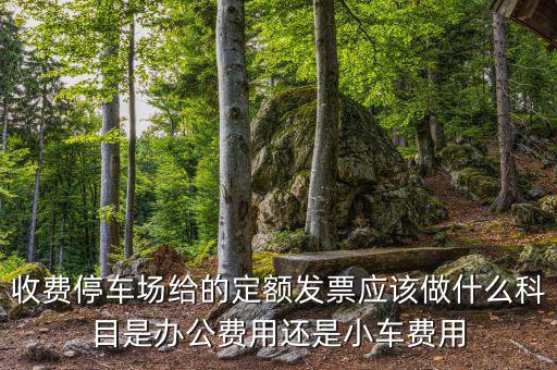 收費(fèi)停車場給的定額發(fā)票應(yīng)該做什么科目是辦公費(fèi)用還是小車費(fèi)用