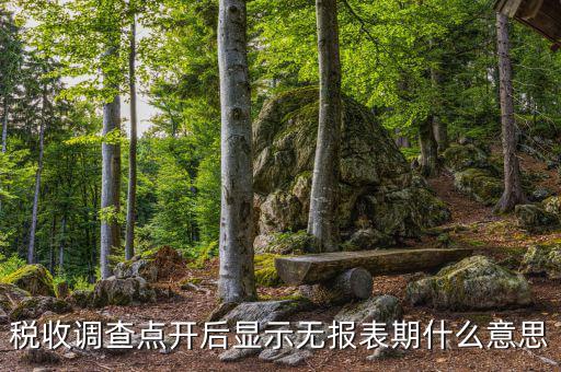 稅收調(diào)查點(diǎn)開(kāi)后顯示無(wú)報(bào)表期什么意思