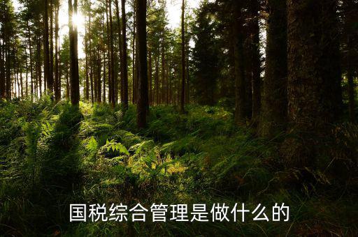 國(guó)稅綜合業(yè)務(wù)是什么，國(guó)稅綜合管理是做什么的
