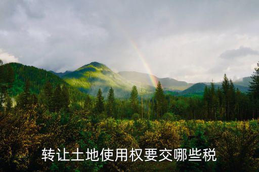轉(zhuǎn)讓土地使用權(quán)要交什么稅，轉(zhuǎn)讓土地使用權(quán)要交哪些稅