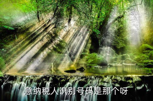 納稅人識別卡是什么，一般納稅人的IC卡的型號中JK100和JK300有什么區(qū)別
