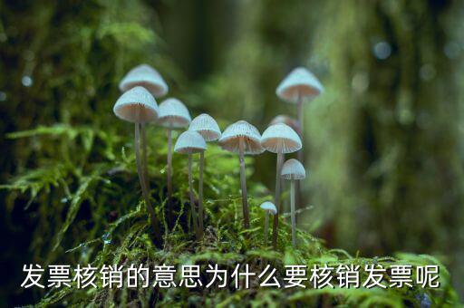 為什么要發(fā)票核銷，發(fā)票核銷的意思為什么要核銷發(fā)票呢