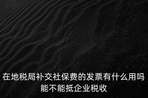 什么稅票能抵消社保費(fèi)用，輪渡費(fèi)后面有一張保險(xiǎn)發(fā)票是可以抵扣的