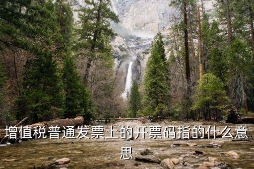增值票的開票碼是什么意思，增值稅普通發(fā)票上的開票碼指的什么意思