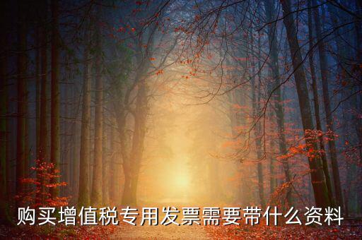 購(gòu)買增值稅專用發(fā)票需要帶什么資料