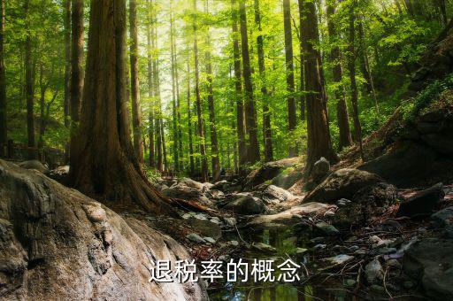 出口退稅率是什么意思，出口退稅率是什么意思啊什么樣的人要交呢