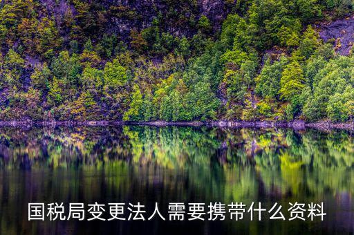 稅務(wù)變更法人需要什么資料，國(guó)稅局變更法人需要攜帶什么資料