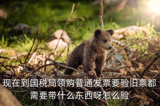 發(fā)票驗(yàn)舊都需要帶什么，現(xiàn)在到國(guó)稅局領(lǐng)購(gòu)普通發(fā)票要驗(yàn)舊票都需要帶什么東西呀怎么驗(yàn)