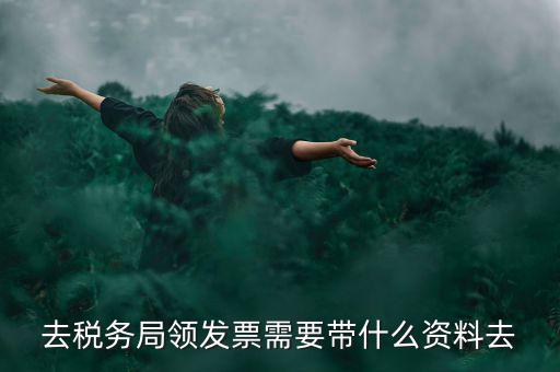 領電子發(fā)票需要帶什么資料，去稅務局領發(fā)票需要帶什么資料去