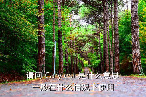 ca棒有什么作用是什么意思，CA的全稱是什么它的具體作用是什么