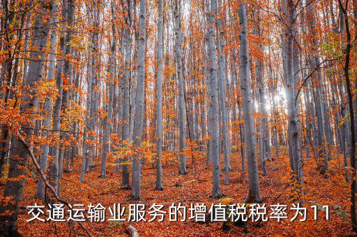 11稅率的服務(wù)包括什么，營改增后11個點稅包括哪些內(nèi)容