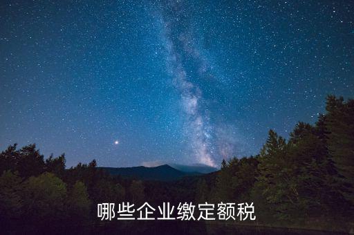什么公司定額征稅，哪些企業(yè)繳定額稅