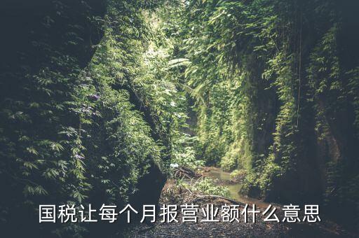 國稅每月報稅的是什么意思，請問每月抄稅和報稅各是什么意思