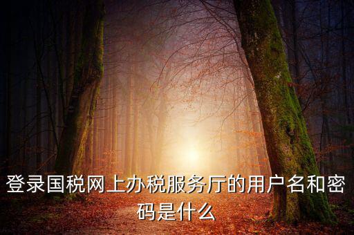 稅務(wù)登陸密碼是什么意思，國(guó)稅第一次網(wǎng)上申報(bào)的登陸密碼是什么