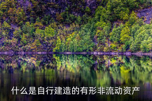 什么叫自建不動產(chǎn)，自建不動產(chǎn)不共擔(dān)風(fēng)險(xiǎn)的投資行為