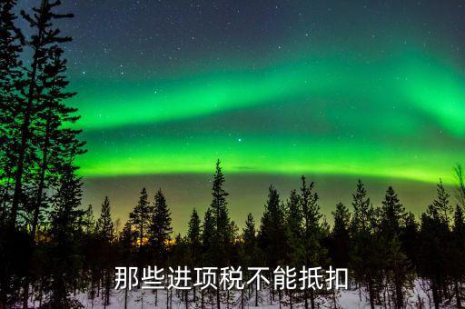 什么增值稅不能抵扣進項稅額，不可抵扣的進項稅有哪些
