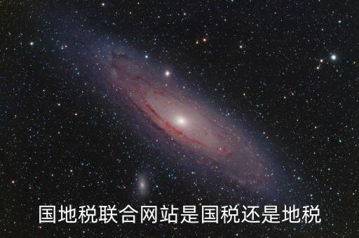 國地稅聯合辦稅是什么，國地稅聯合稅費申報什么意思