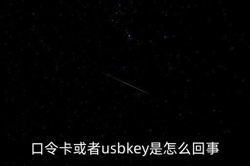 未插usbkey什么意思，口令卡或者usbkey是怎么回事