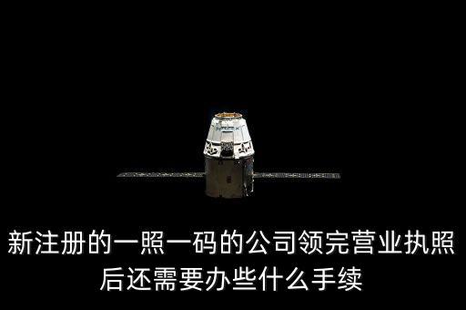 一照一碼后還需辦什么，網(wǎng)上申請一照一碼必須要經(jīng)辦人的U盾嗎