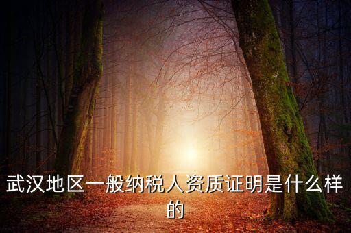 納稅資質(zhì)證明是什么意思，什么是稅務(wù)證明