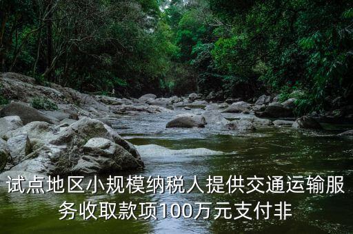 什么向試點(diǎn)地區(qū)納稅人支付費(fèi)用，4試點(diǎn)地區(qū)內(nèi)一般納稅人向試點(diǎn)地區(qū)內(nèi)一般納稅人支付費(fèi)用取得增值