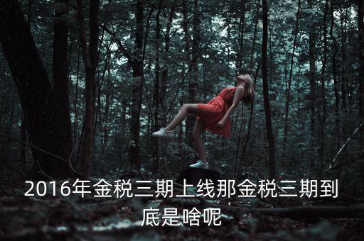 金稅三期包括什么，金稅三期是什么意思