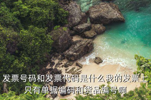 發(fā)票代號(hào)是什么，發(fā)票紙質(zhì)代碼是什么意識(shí)