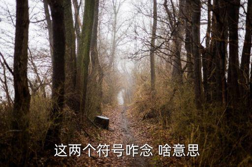 項稅讀音是什么意思，怎么讀是什么意思