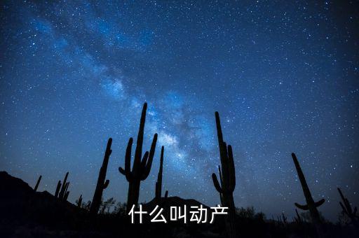 什么是動產登記表，什么叫動產