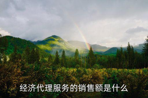 什么是經(jīng)濟代理，請問什么叫經(jīng)濟合同代理人