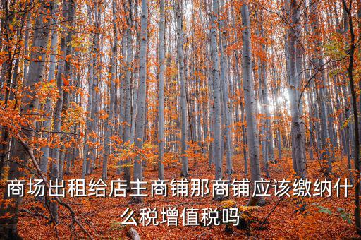 租用商鋪需要交什么稅，我租個(gè)門市都需交什么稅