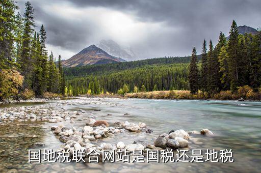 國地稅聯合是什么，國地稅聯合稅費申報什么意思