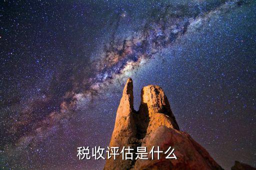 什么叫地稅納稅評估，納稅評估都是評估什么