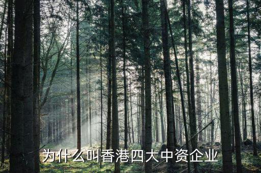 什么叫中資控股企業(yè)，為什么叫香港四大中資企業(yè)