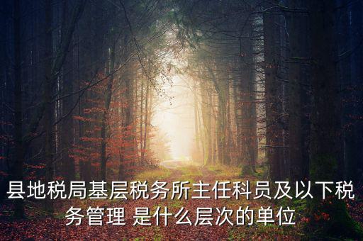 地稅局主任干什么，在地稅局工作寫材料具體是怎么工作