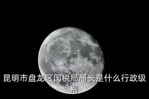 國家稅務(wù)局局長是什么級別，地級市的國稅局局長是什么干部