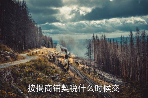 商鋪租賃稅什么時候交，租賃店鋪一般首次需要繳納幾個月的租金