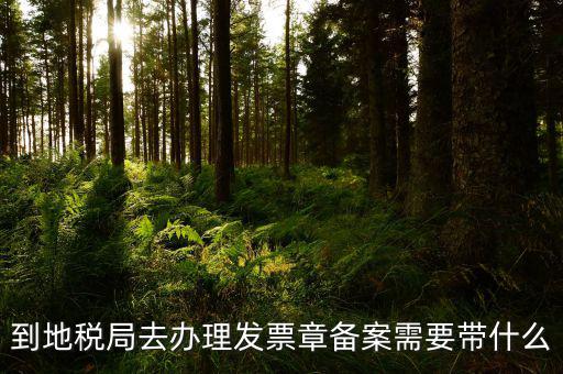 去地稅局備案需要什么，地稅備案需要什么資料