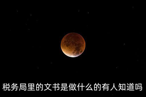 稅務(wù)文書(shū)是什么，急需稅務(wù)文書(shū)格式