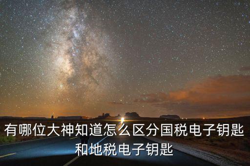 國(guó)稅電子鑰匙是什么，稅務(wù)密鑰是什么東西是數(shù)字證書(shū)嗎