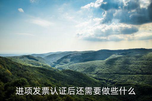 核定發(fā)票后發(fā)行后還坐什么，認(rèn)證完發(fā)票在干什么