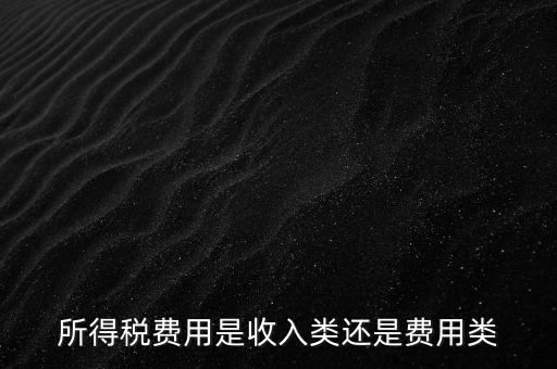 所得稅屬于什么費(fèi)用，所得稅費(fèi)用是收入類(lèi)還是費(fèi)用類(lèi)