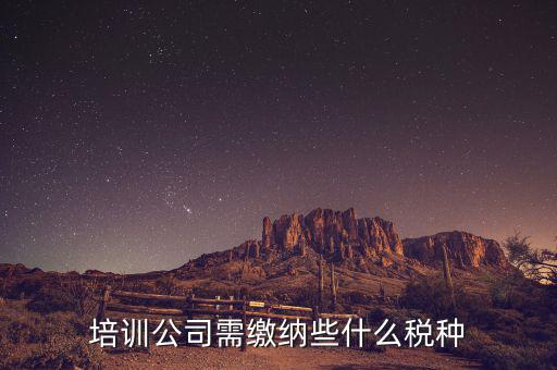 培訓(xùn)機(jī)構(gòu)依據(jù)什么納稅，培訓(xùn)單位按什么標(biāo)準(zhǔn)納稅
